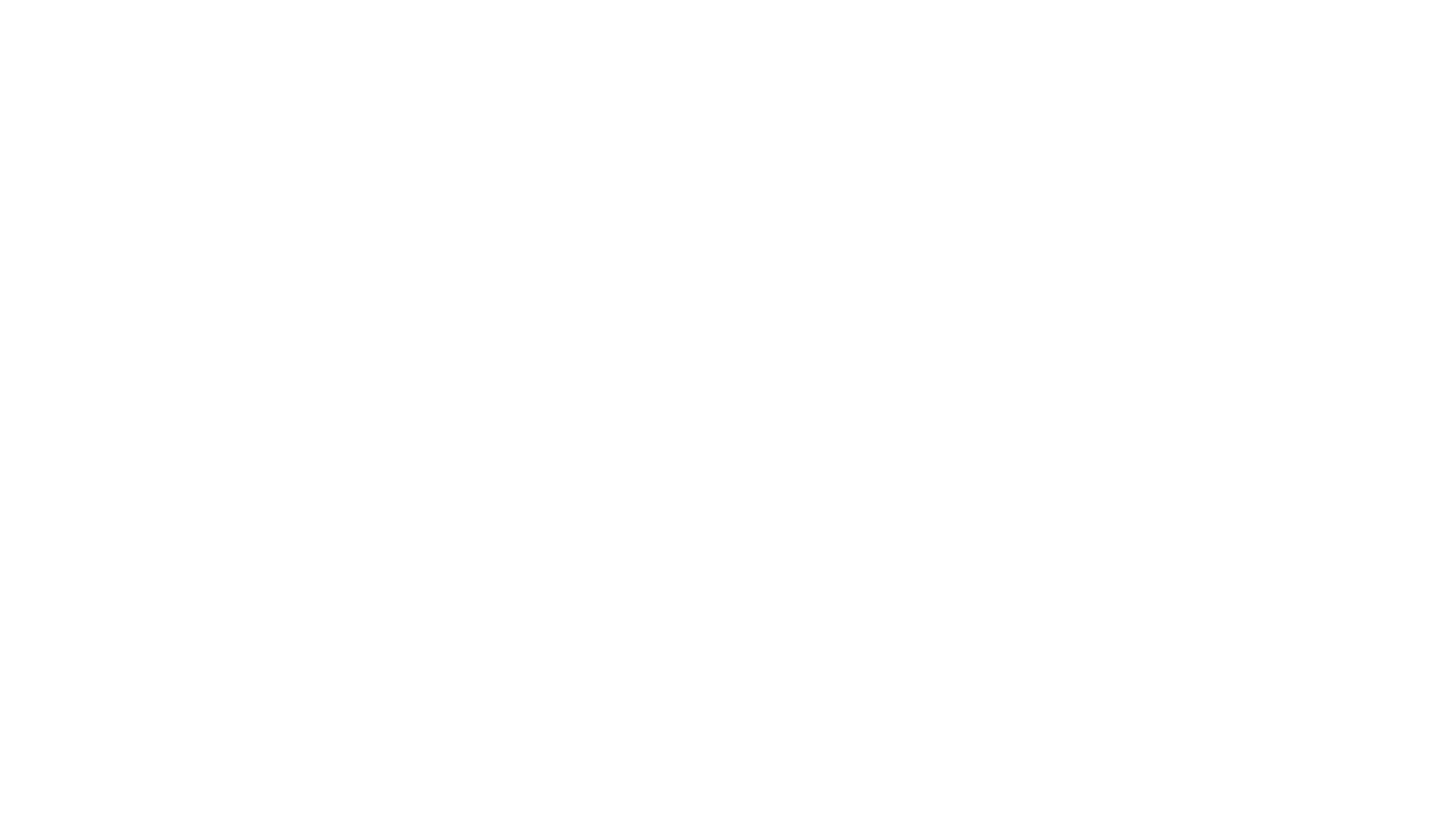 Paleolith Logo